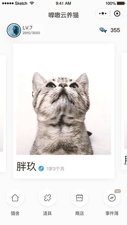嚤嗷云养猫截图1