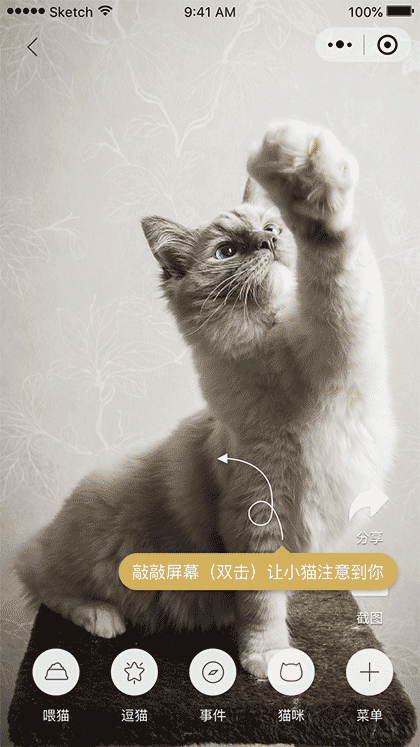 嚤嗷云养猫截图2