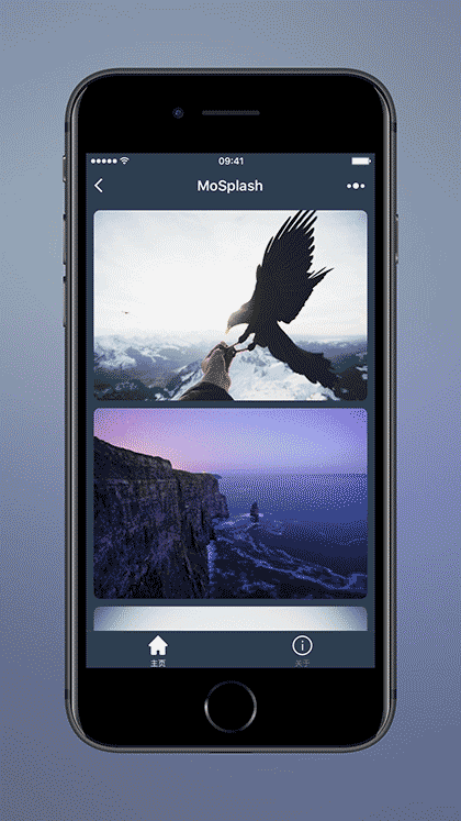 MoSplash截图1