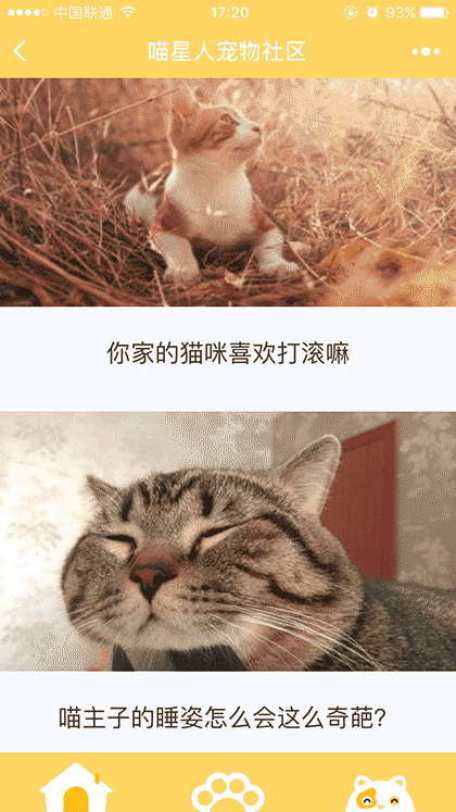 喵星人宠物社区截图1