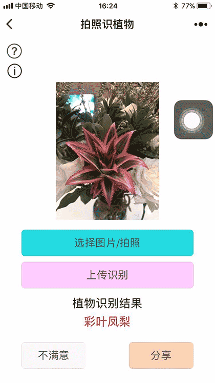 拍照识植物截图2