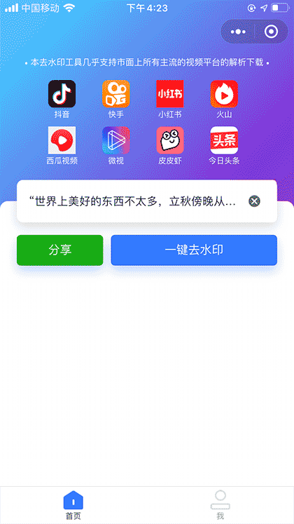 全平台去水印工具+截图1