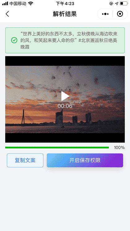 全平台去水印工具+截图2
