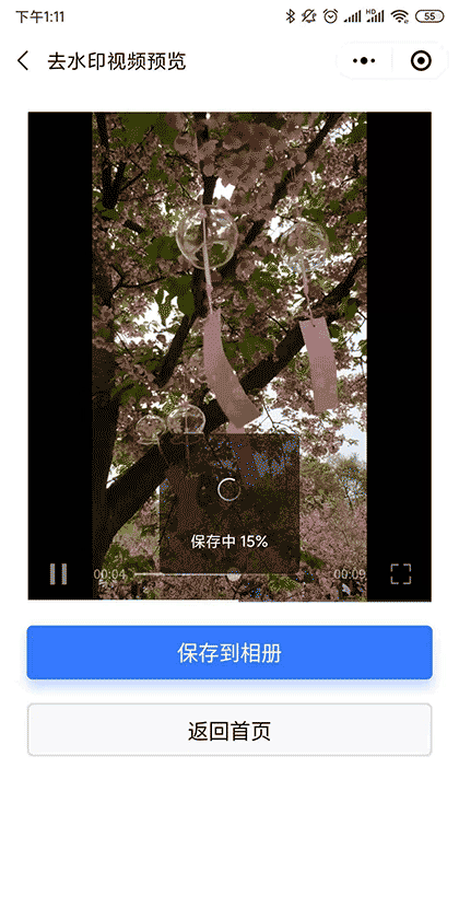 去水印大哥截图1
