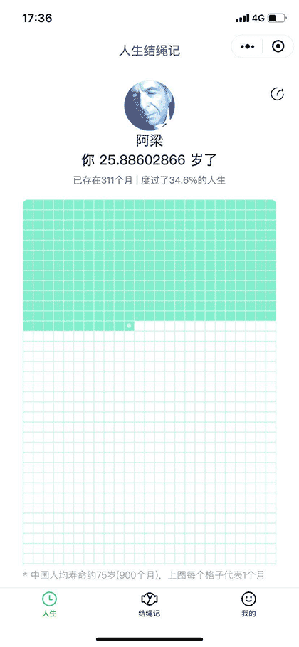 人生结绳记截图1