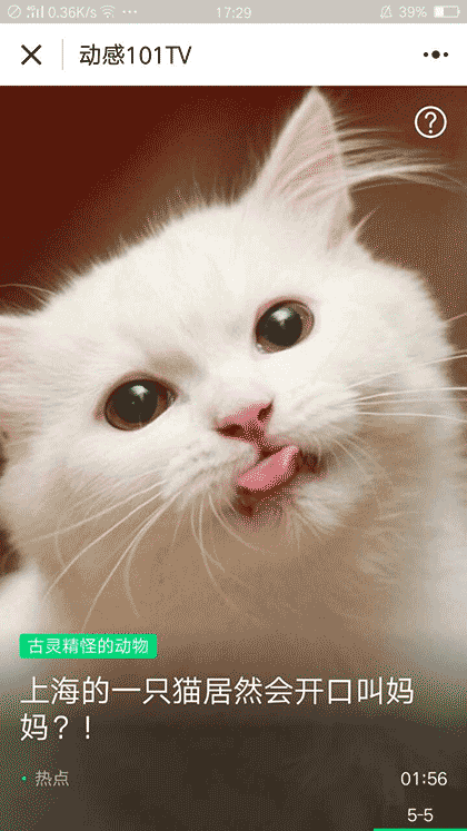 上海动感101TV截图1