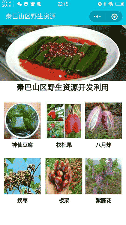 神仙豆腐柴截图1