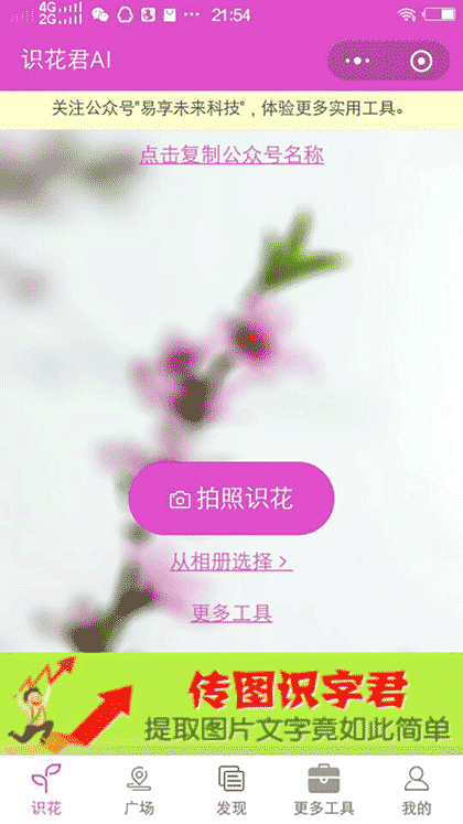 识花君Ai截图1
