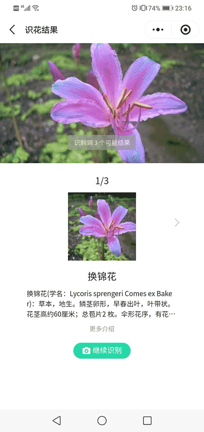 拾花趣截图3