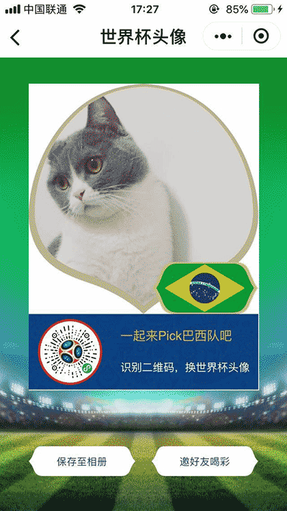 世界杯头像go截图1