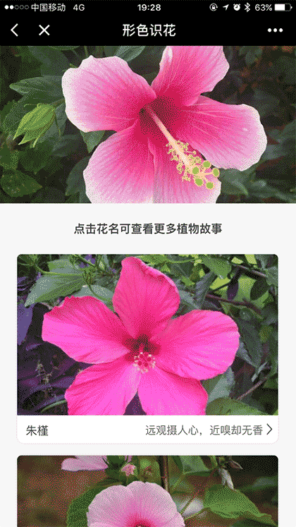 形色识花+截图2