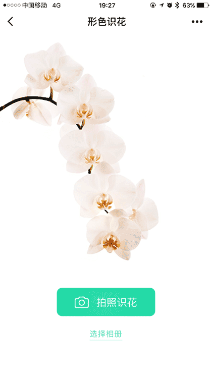 形色识花+截图3