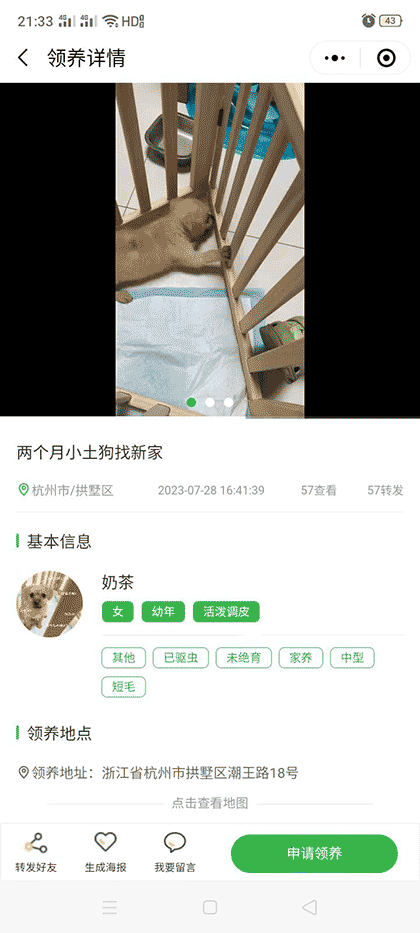 永爱宠物领养送养中心截图3