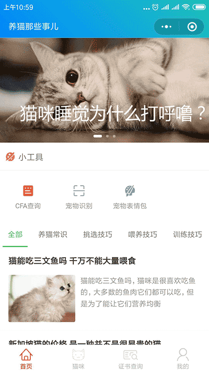 养猫那些事儿截图1