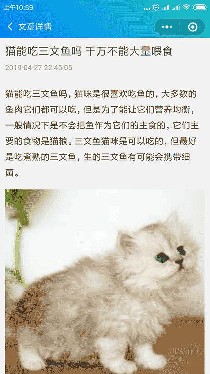 养猫那些事儿截图2