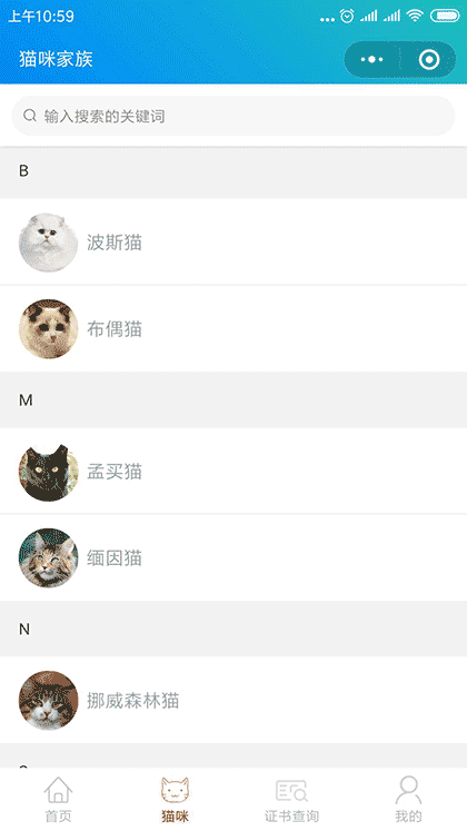 养猫那些事儿截图3