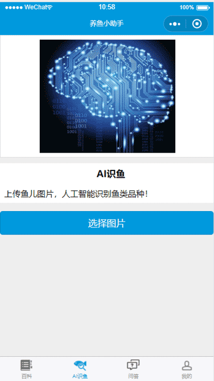 养鱼小助手截图2