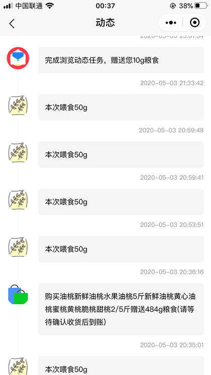 一起来养鸡截图2