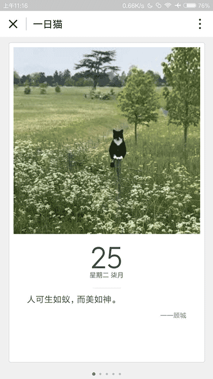 一日猫小卡片截图3