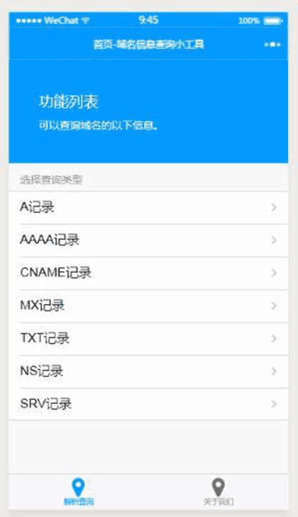 域名信息查询小工具截图1