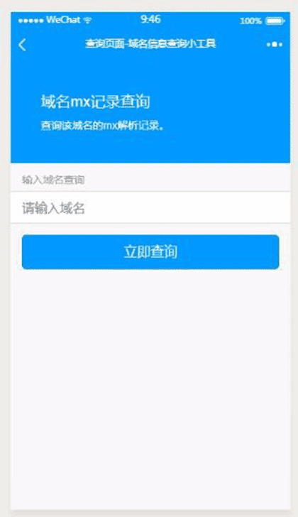 域名信息查询小工具截图2