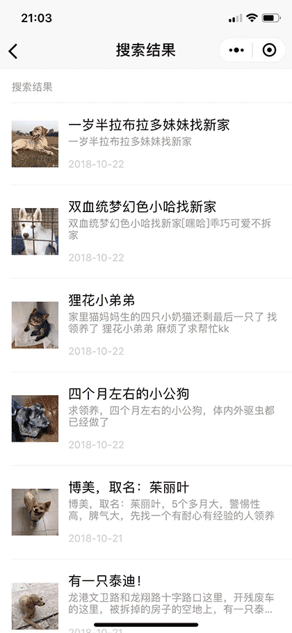 一只猫的人间流浪截图1