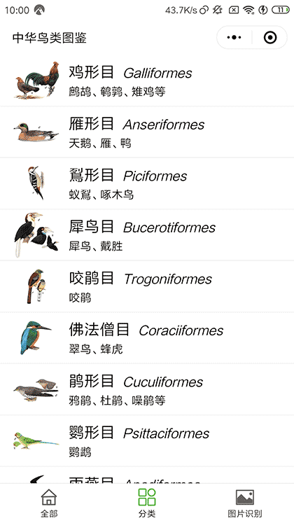 中华鸟类图鉴截图2