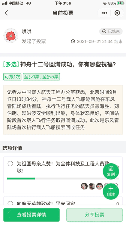 专业投票助手截图3