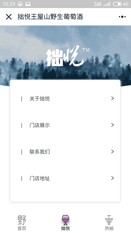 拙悦王屋山野生葡萄酒截图2